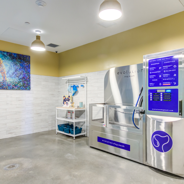 Ryder Revere Beach - Pet Spa With Stainless Steel Washing Station